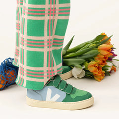 V-10 VEJA X THE ANIMALS OBSERVATORY STEEL